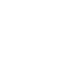 Representatives Icon