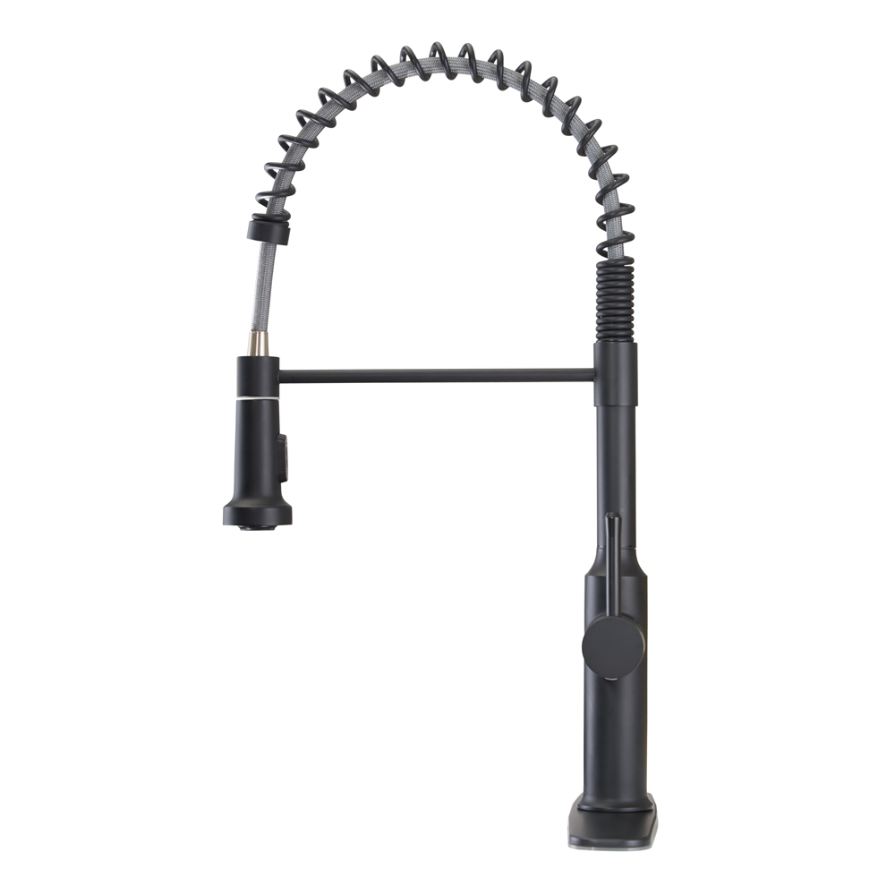 Single Handle Kitchen Faucet with Exposed Spring, Matte Black Finish by Krowne